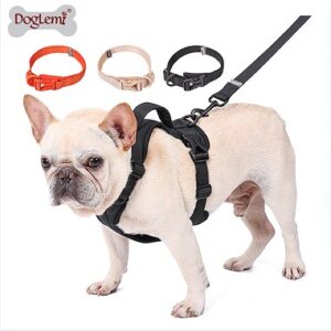 Macaron Dog Collar