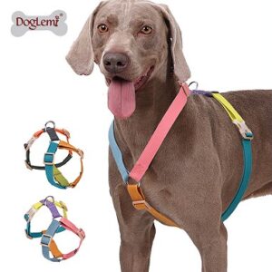 Six-Color H-Style Harness Set