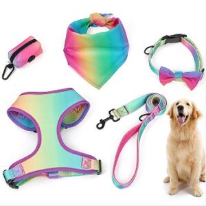 Dog Harness, Collar, Leash and Waste Bag Dispenser Set