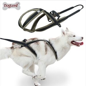 Sled-Pulling Dog Harness