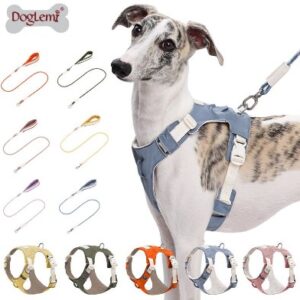 Fashion Harness and Multi-Color Dog Leash Set