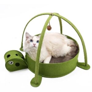 Turtle Cat Bed and Scratcher