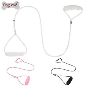 P-Chain Style Competition Dog Training Slip Lead
