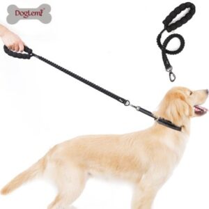 Elastic Bungee Dog Leash with Shock Absorber