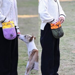 Color-Block Dopamine Dog Walking Treat Bag