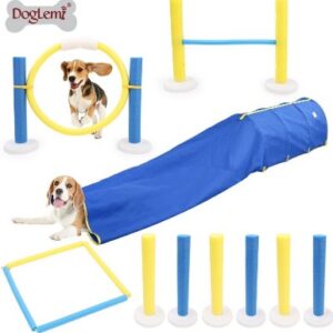 Indoor Dog Agility Training Equipment