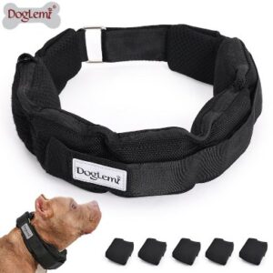 Weighted Training Collar for Large Dogs