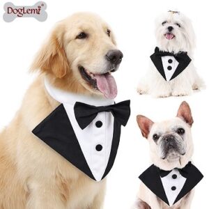 Gentleman Wedding Dog Bandana