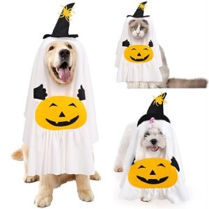 Halloween Pumpkin Ghost Pet Costume
