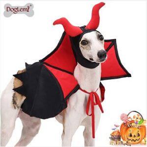 Halloween Vampire Hood and Cape Costume