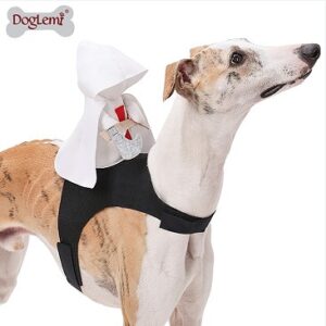 Halloween Crusader Knight Pet Costume