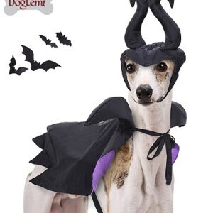 Halloween Maleficent-Style Hooded Cape Costume