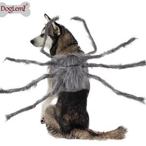 Halloween Colorful Spider Costume