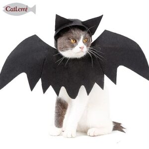 Halloween Pet Bat Wings
