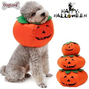 Halloween Pumpkin Dog Costume