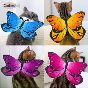 Halloween Butterfly Cat Costume