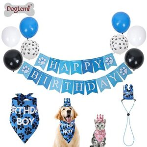 Pet Birthday Costume Set