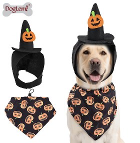 Halloween Hat and Bandana Set