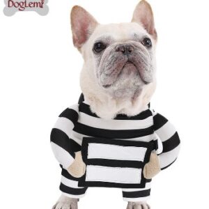 Pet Prisoner Costume