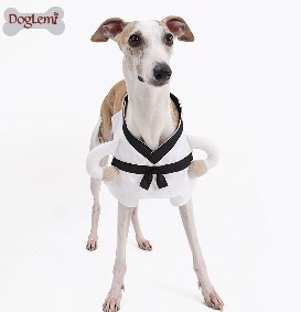 Pet Martial Arts Costume
