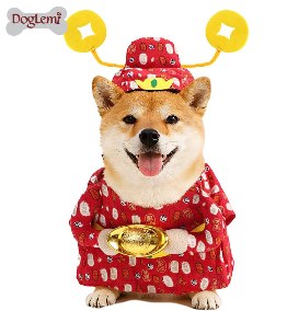 Little God of Wealth Pet Costume