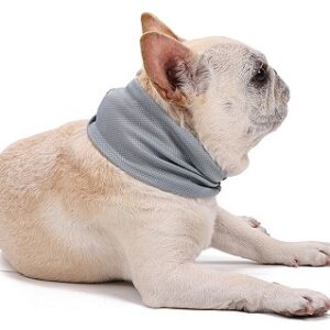 Pet Cooling Neck Bandana