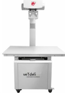 Intelligent DR System