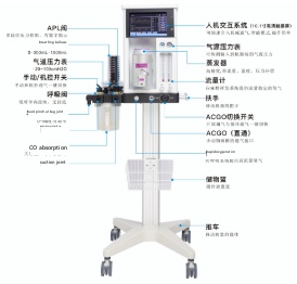 Anesthesia Workstation Oxygen Cylinder Available
