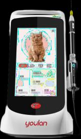 Animal CO2 Laser Therapy Device - YLQ-2000Vet